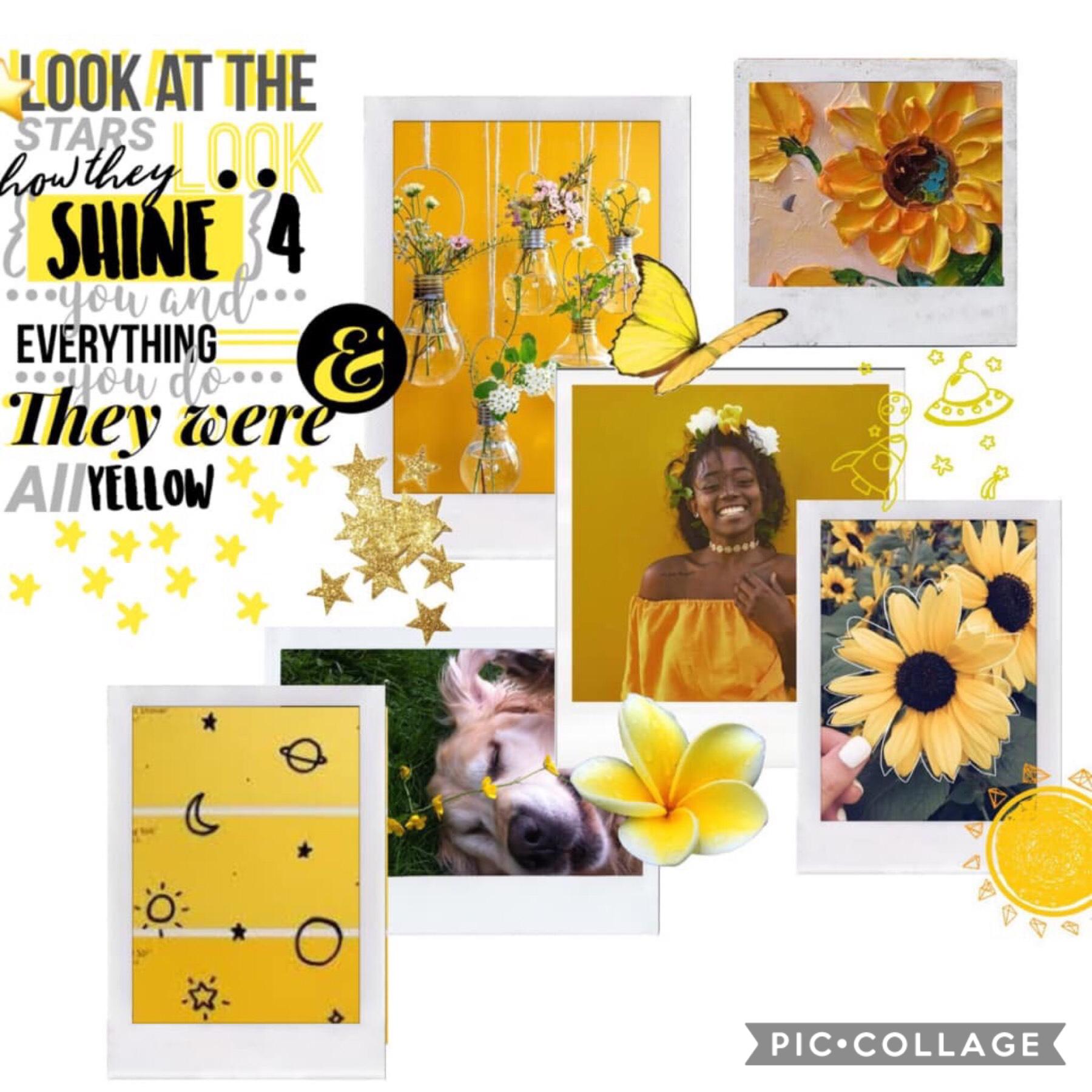 ⭐️✨
I kinda love yellow and sunflowers 