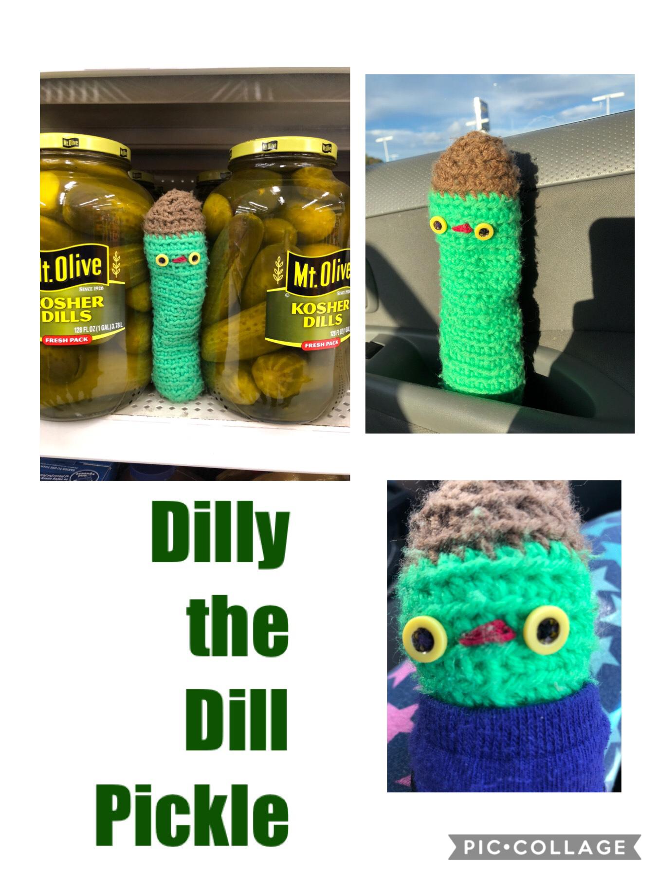 ***TAP***



Dilly is a dill pickle that I crocheted he is awesome here is some of his selfies!