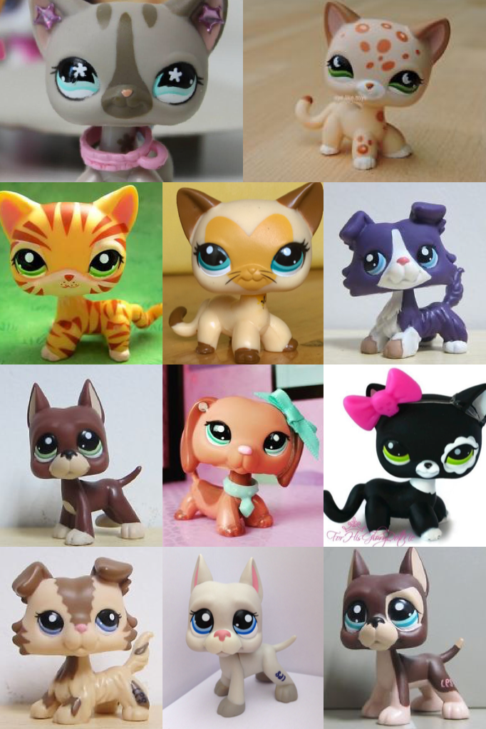 Wish list for lps