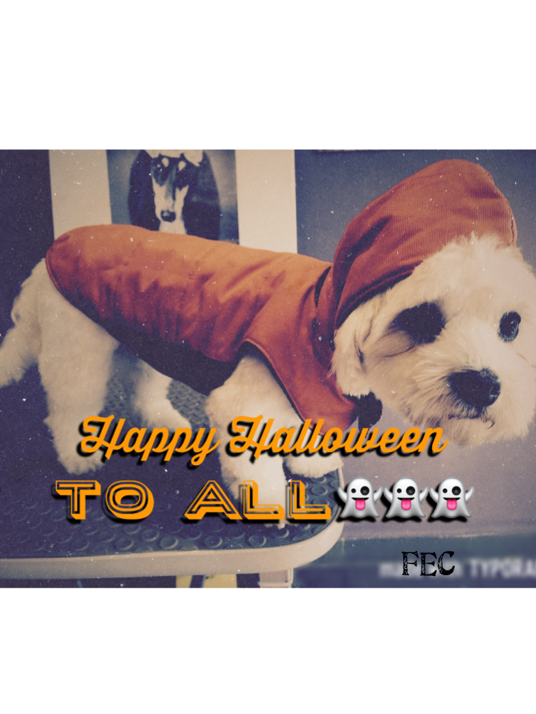 👻Clicky👻
Happy Halloween 👻 OMG 😲 this dog 🐶 is soooo cute like id you think 💭 he is cute there is an icon contest plz join bye 👋-FEC