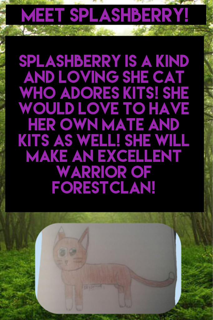 Meet splashberry!