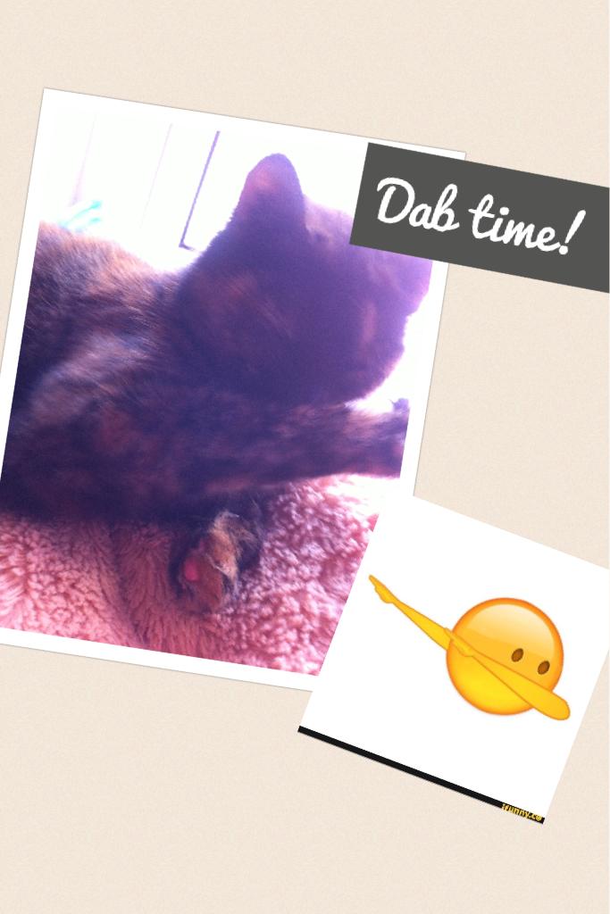Dab time!
My cat can dab 