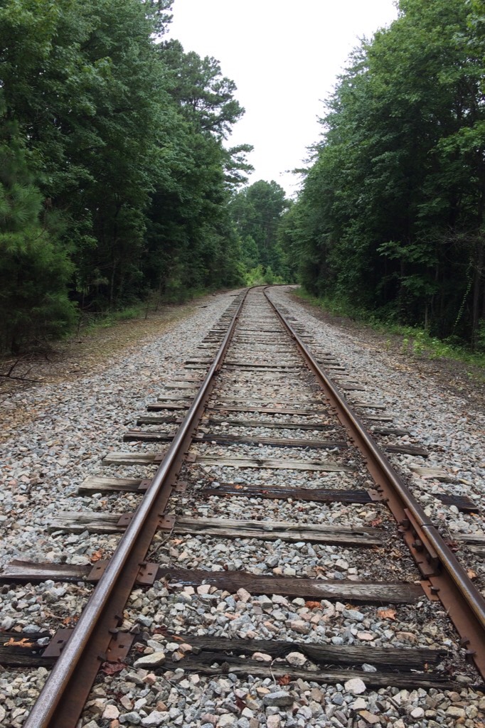 T A P P Y
Picture of train tracks where I live. 😝When we moved back here Mr and my friend from the hotel found these in the woods. (People told us not to go in the woods because homeless people were there but we didn’t care). 🤣We even saw a black cat🎁
