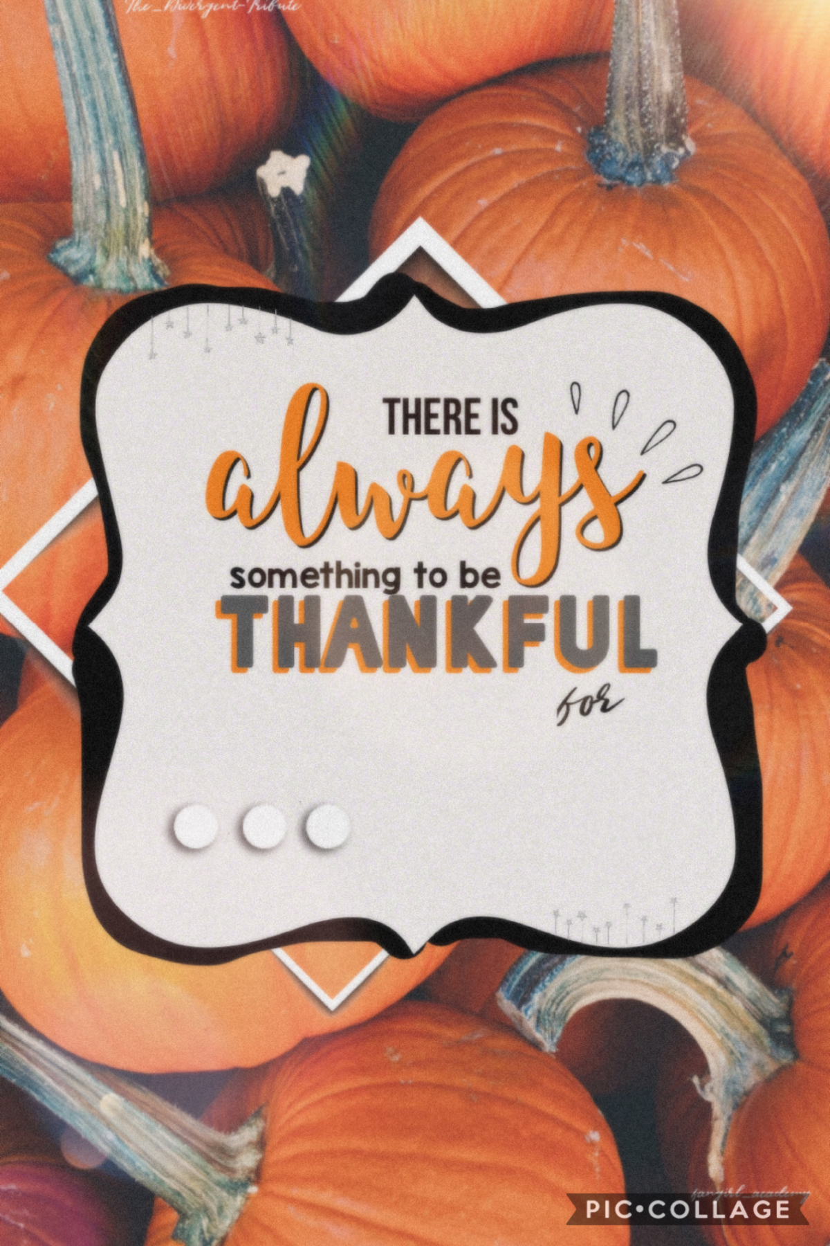 Late Thanksgiving edit! Hope y’all found something to be thankful for! 🍁🍁
QOTD: Favorite Thanksgiving dish?
AOTD: Mom’s sweet potato casserole! 🍠😋

🧡Have a great day!🧡