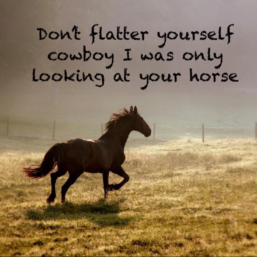 Don’t flatter yourself cowboy I was only looking at your horse