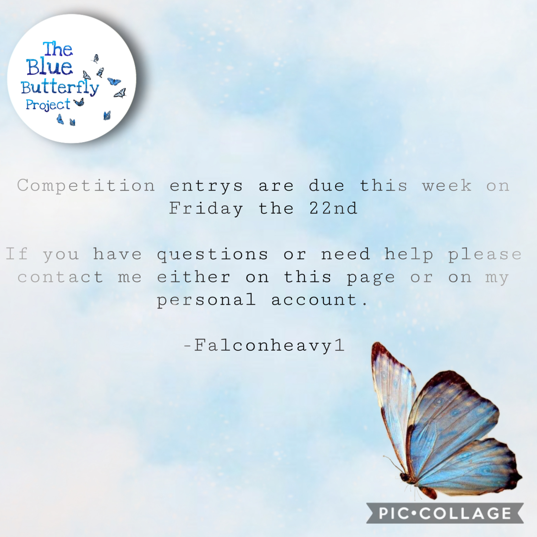 Competition entry’s due on Friday 🦋