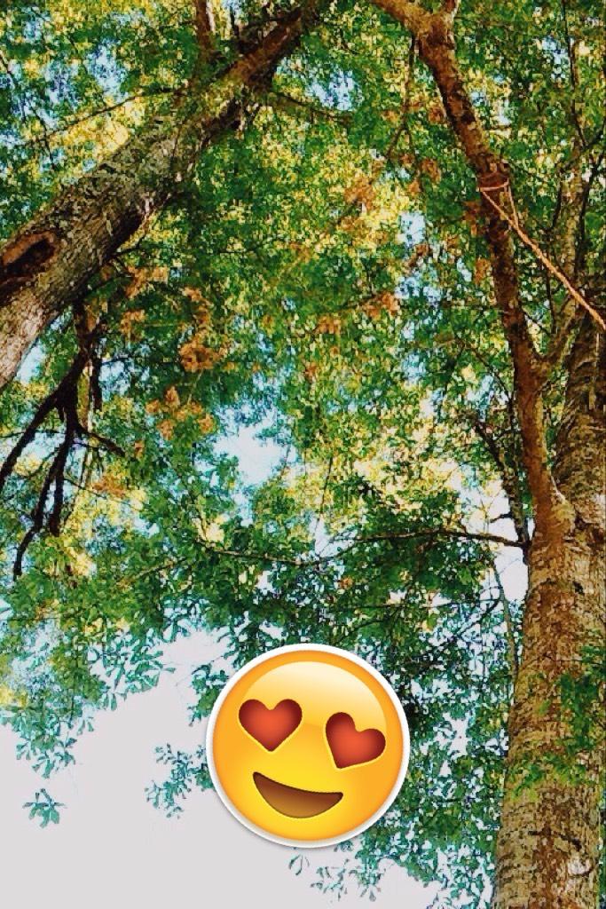 Such a pretty day💞💞comment your favorite season💚💚mines summer😘😘