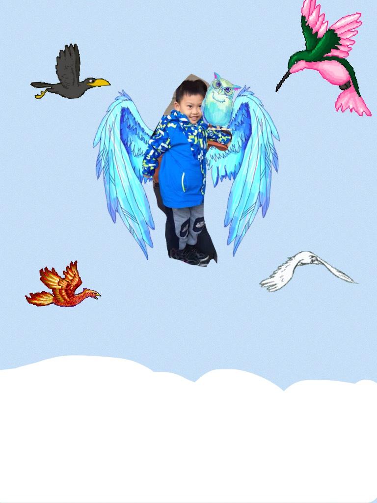 Here is my little Brother taking his flight flying in the sky 