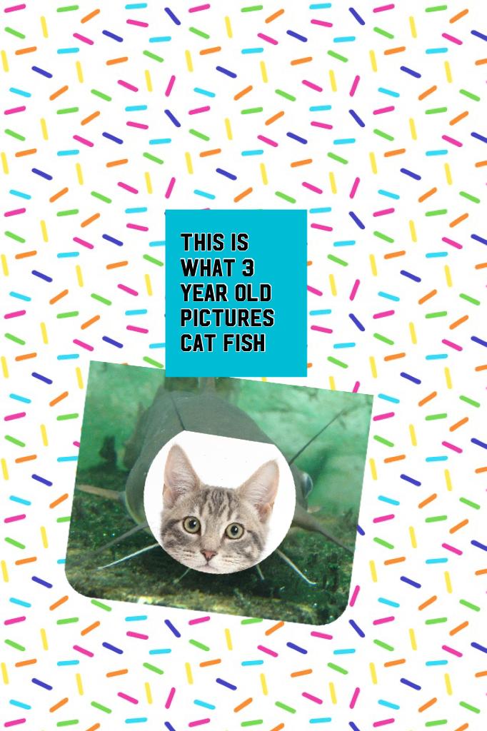 This is what 3 year old pictures cat fish