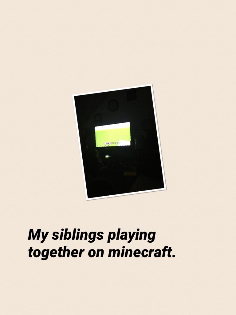 My siblings playing together on minecraft.