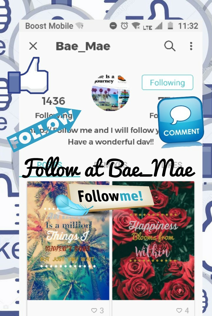 Follow @Bae_Mae 👍 💬 Follow 🚶!!!!