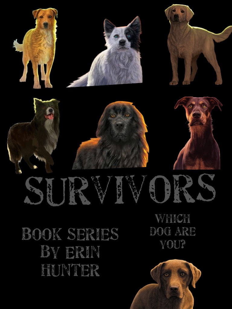 Which Survivor dog are you most like? I think I'm most like Martha...