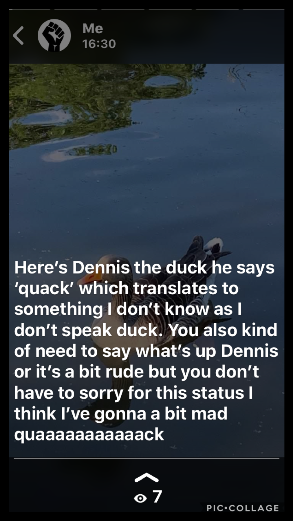               Tap❤️
I sent this to my friends on WhatsApp and I honestly went mad when I sent this so please don’t judge me. Anyway can you guys please say what’s up to Dennis the duck??? Please???