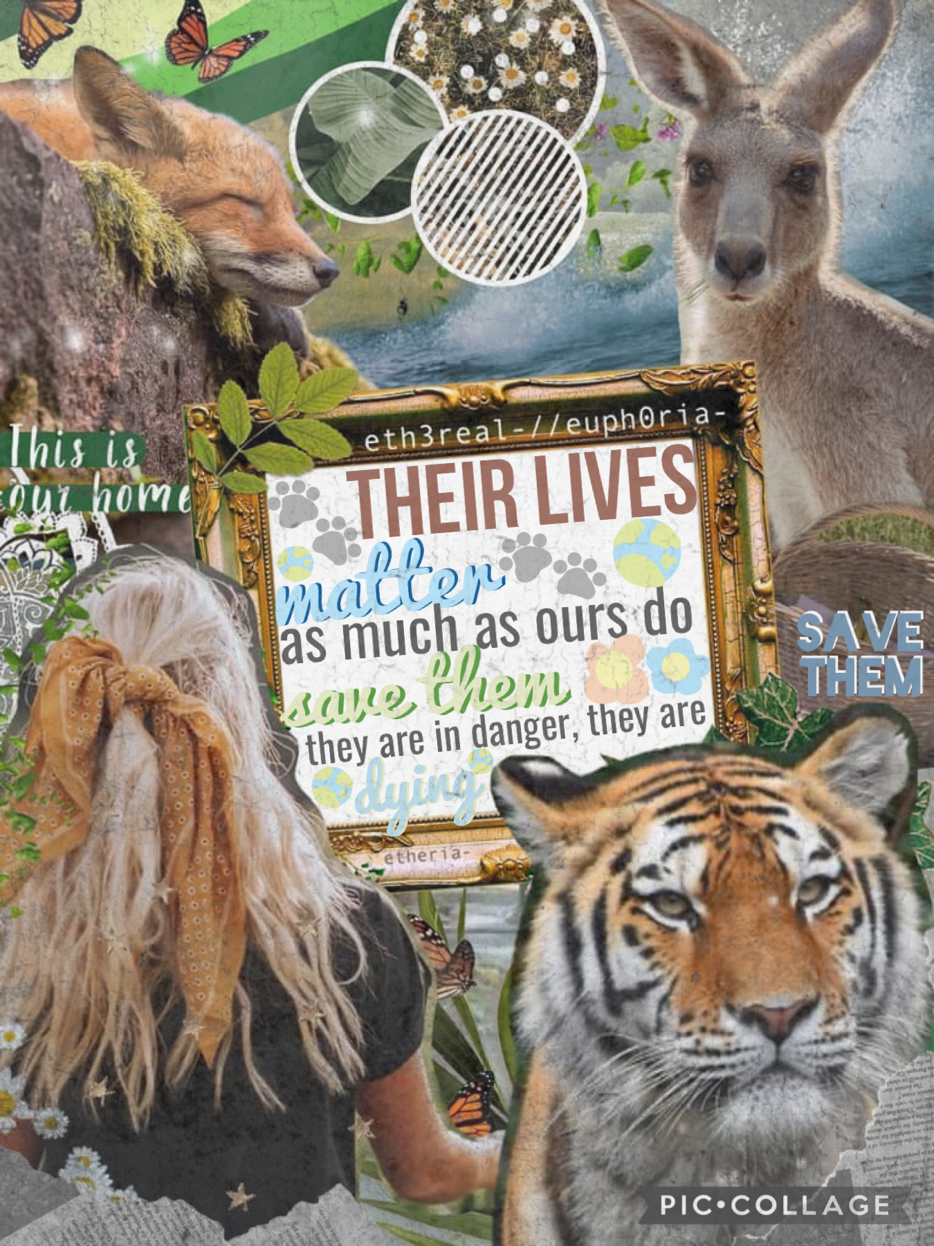 🐾8/5/21🐾
collab with catie @euph0ria- who did the stunning bg, inspired by @clear-blue-water. theme: world wildlife day, their lives matter too! I did the horrible text, it’s like my worst and let’s not speak of it. proud of the little doodles I did haha-