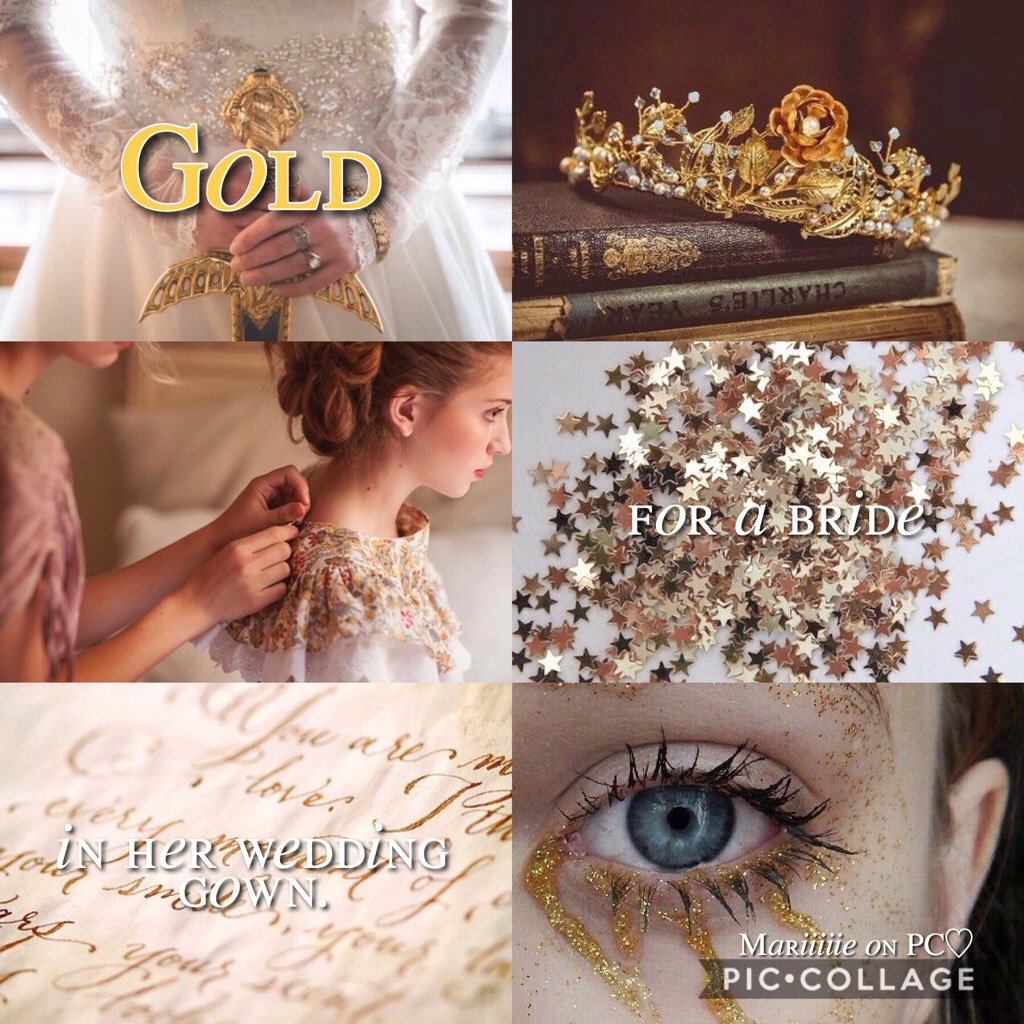 👑- T A P -👑

➰- Gold x Jessamine -➰

3rd post of this theme! Hope you’ll like this!😘

QOTD - Fav TID book?

AOTD - I love them both but I had to choose, it will be Clockwork Princess❤️❤️

✨