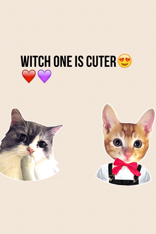 Witch one is cuter😍❤️💜