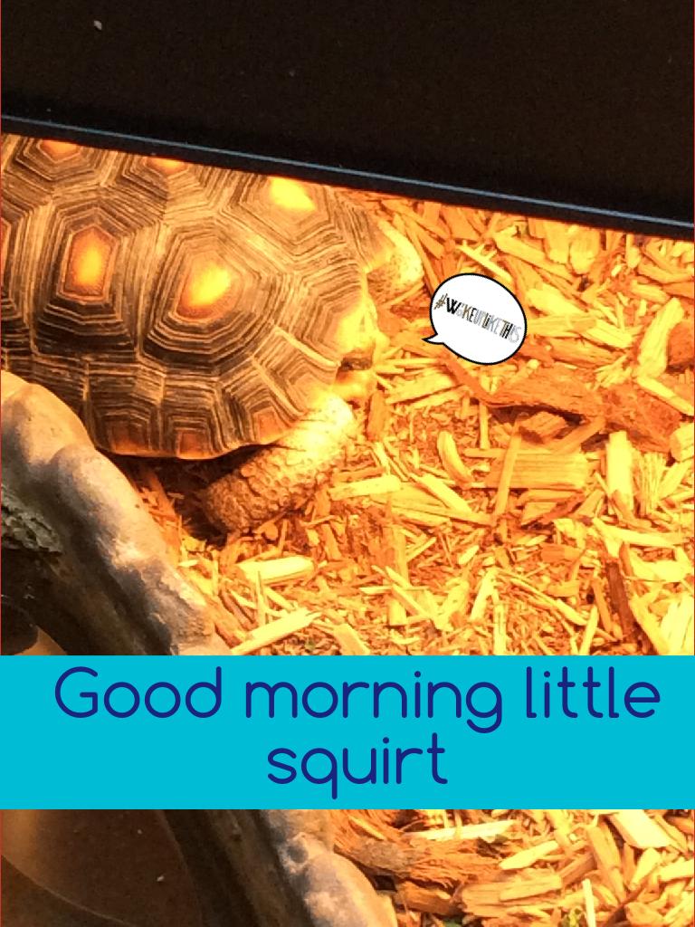 Good morning little squirt