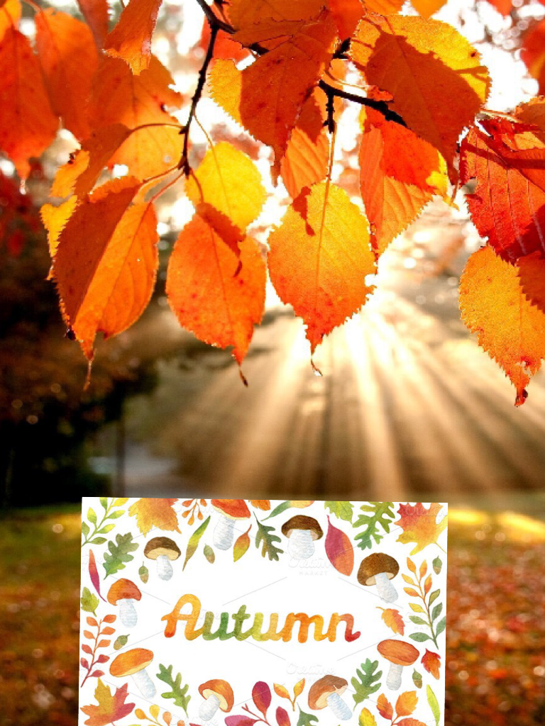 Love autumn 