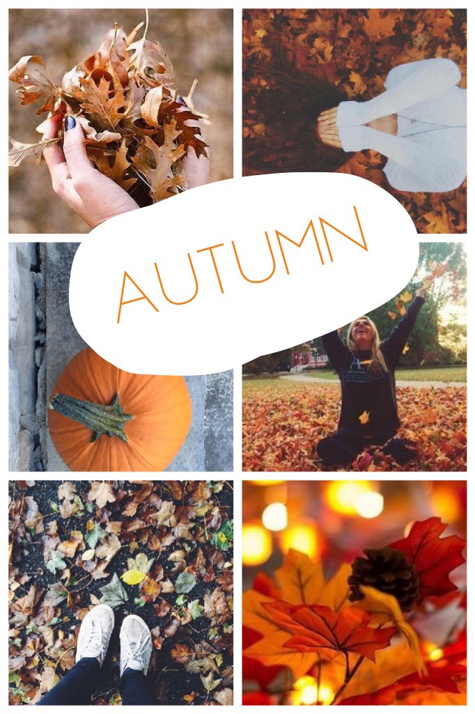 I’m just bored... anyways we are getting closer and closer to 600 followers! That’s crazy!!!! Well anyways happy fall!🍁🎃