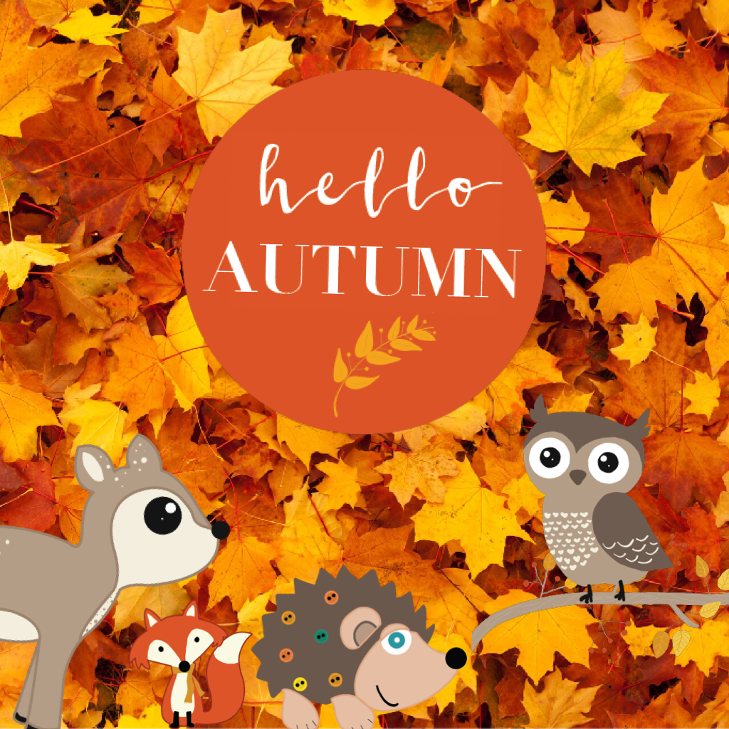 Happy Fall/Autumn 