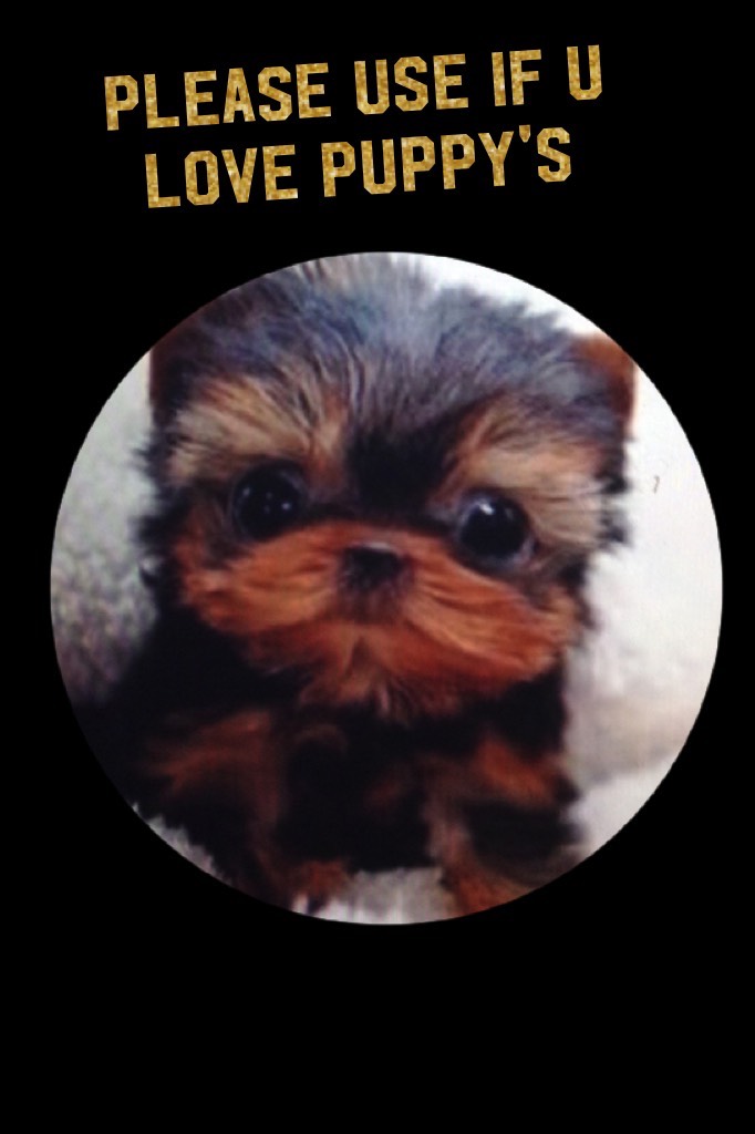 Please use if u love puppy's  