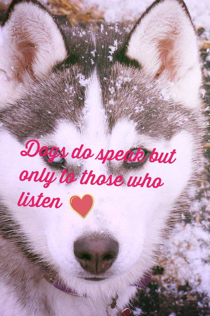 Dogs do speak but only to those who listen