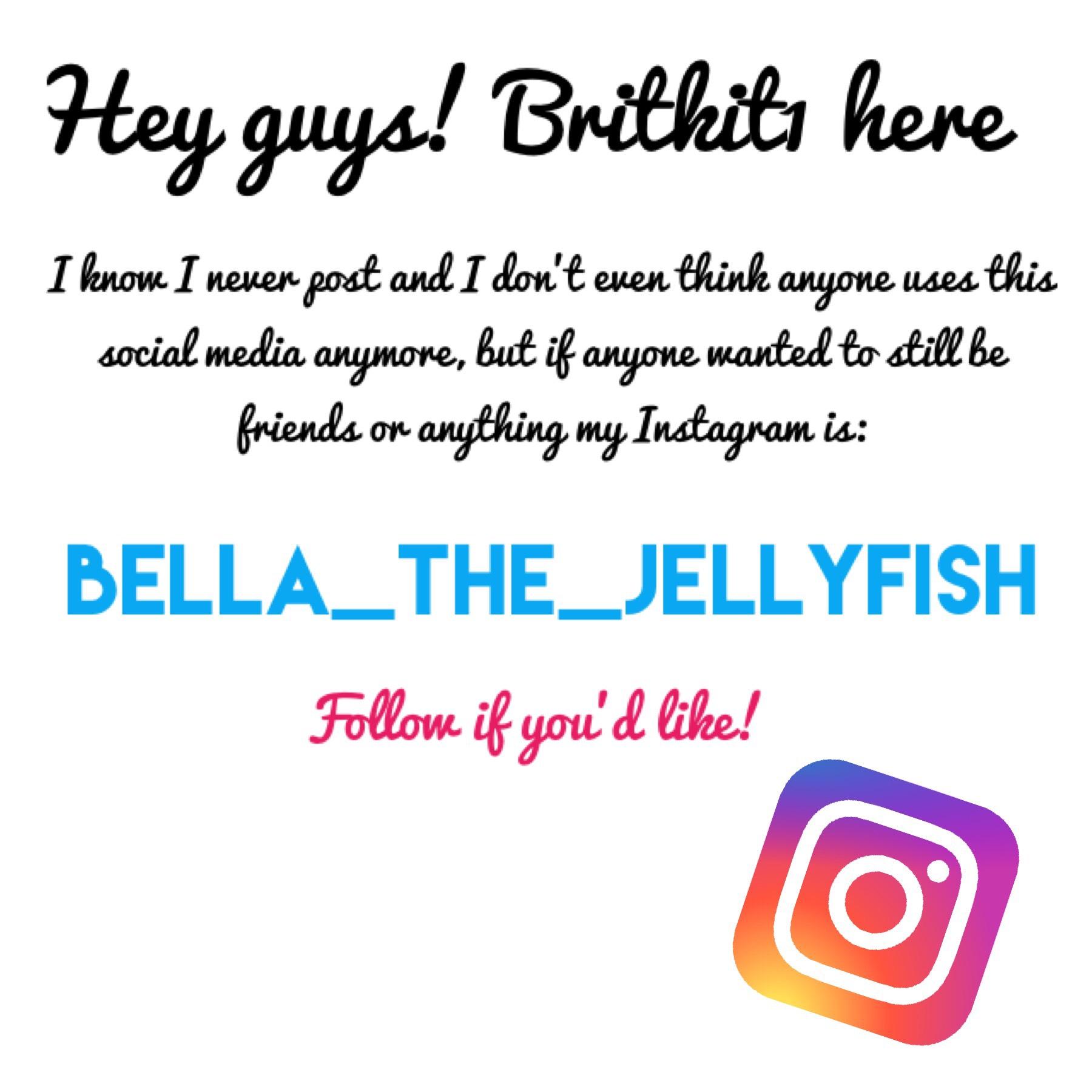 Instagram: @Bella_The_Jellyfish