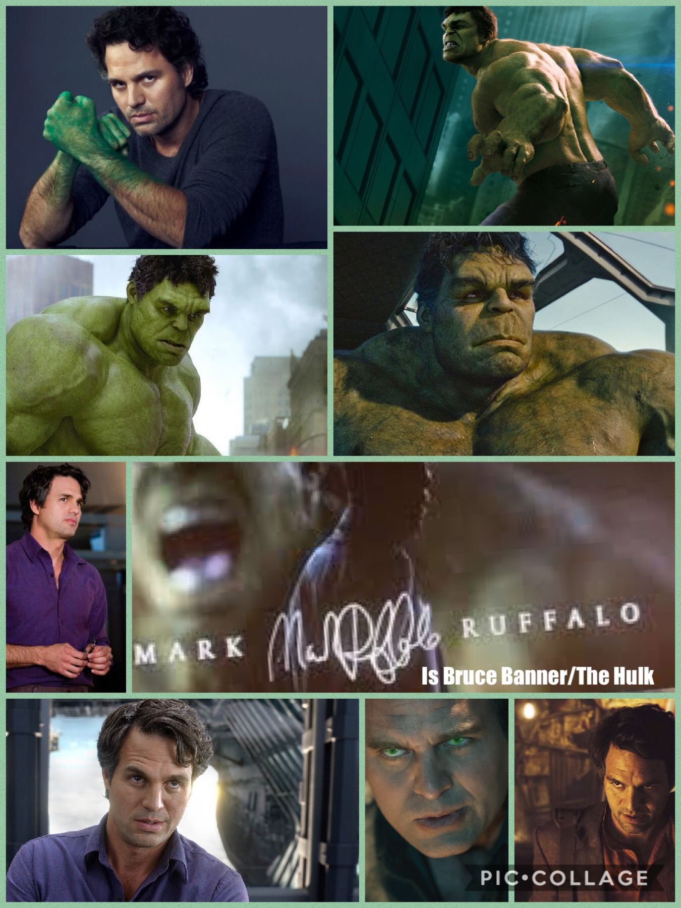 Mark Rufallo is Bruce Banner/The Hulk 