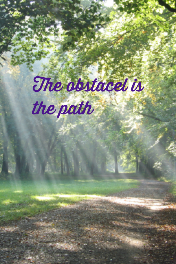The obstacel is the path 