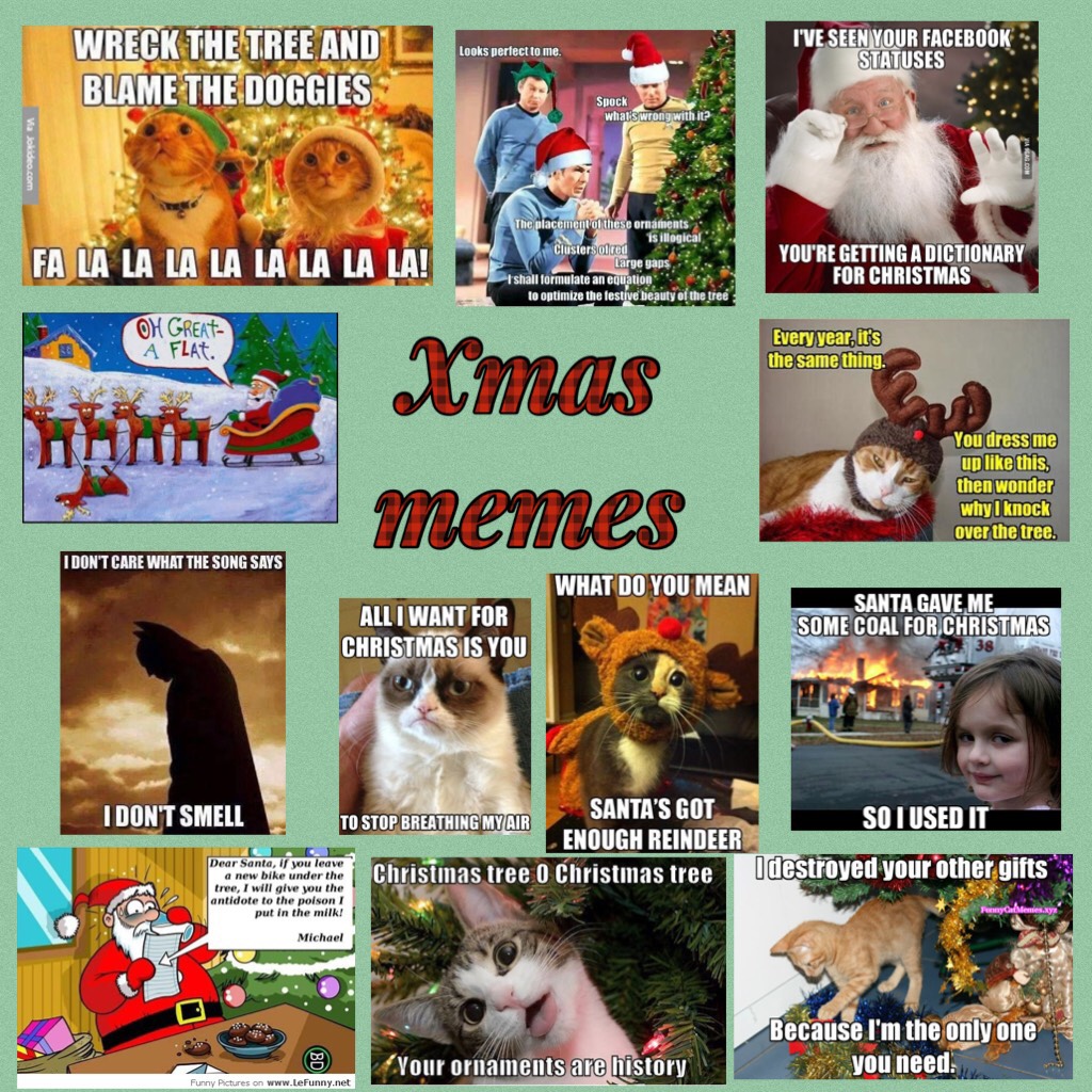 Lol 😂 these memes are sooooo funny !! Merry Christmas 🎁🎄 