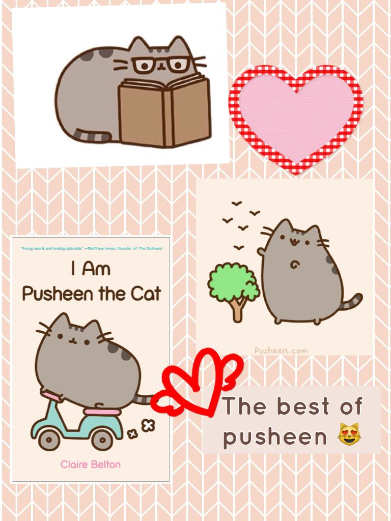 In honor of all pusheen fans!!👍🏻