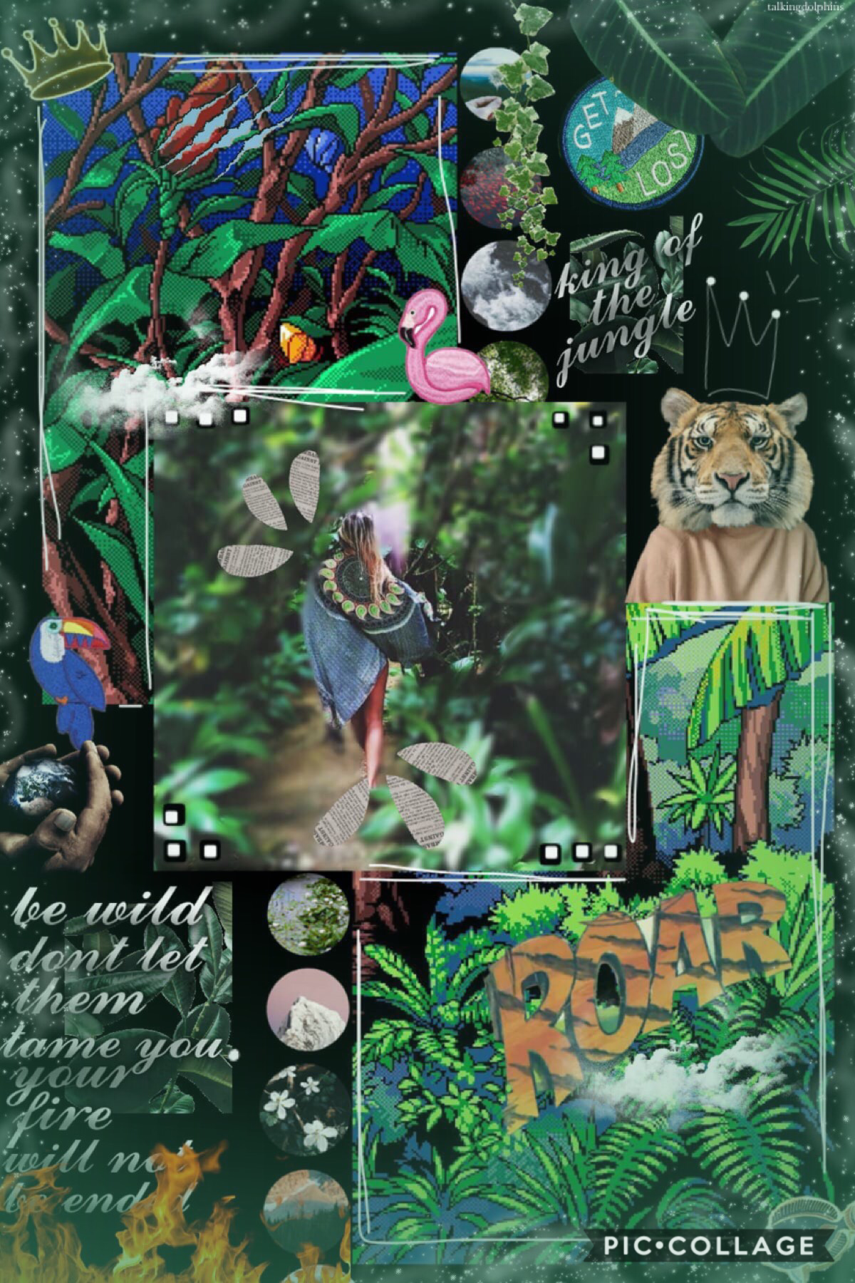 🌿tap🌿
Thank you for the feature on my most recent collage piccollage! It rained for the 1st time in weeks yesterday night, it was wonderful. Have an amazing day💗