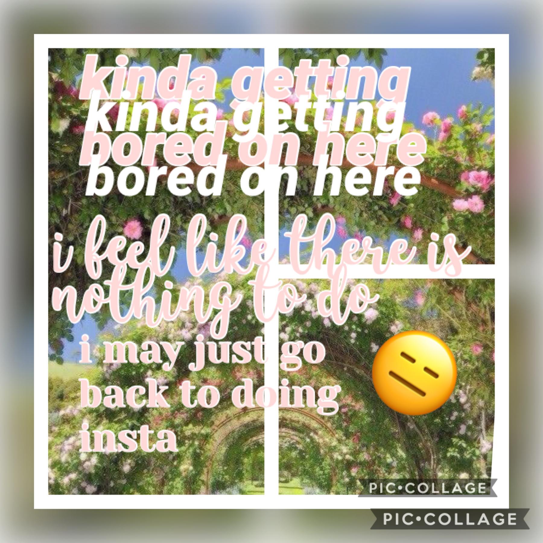 🧚‍♀️tap🧚‍♀️

getting bored...😭😂i feel like i have nothing to do on here... anything you think i should. i’m still on instagram, but idk if i should do that instead... 