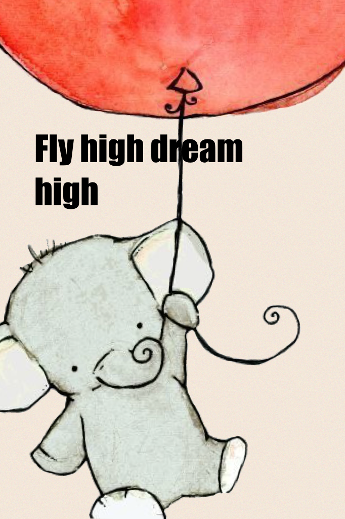 Fly high dream high