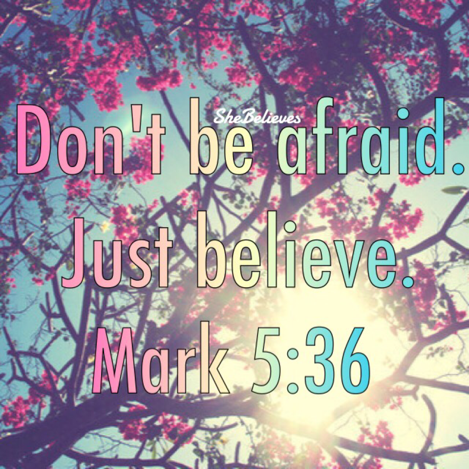 Don't be afraid! Just believe! ☀️🌳