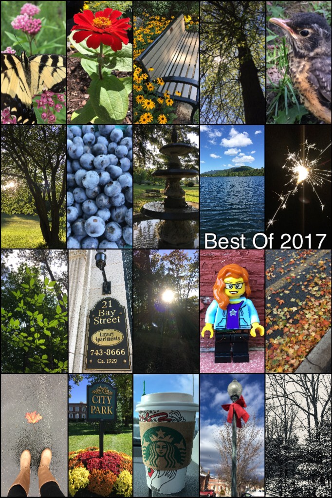 Most of these are the best pics I’ve taken so far. 😜 📷 I mean I like all of them, but after I chose my favorites, I kinda put them in order by season, (even tho they weren’t all taken then) So then I added a few that aren’t necessary the best. 😆 