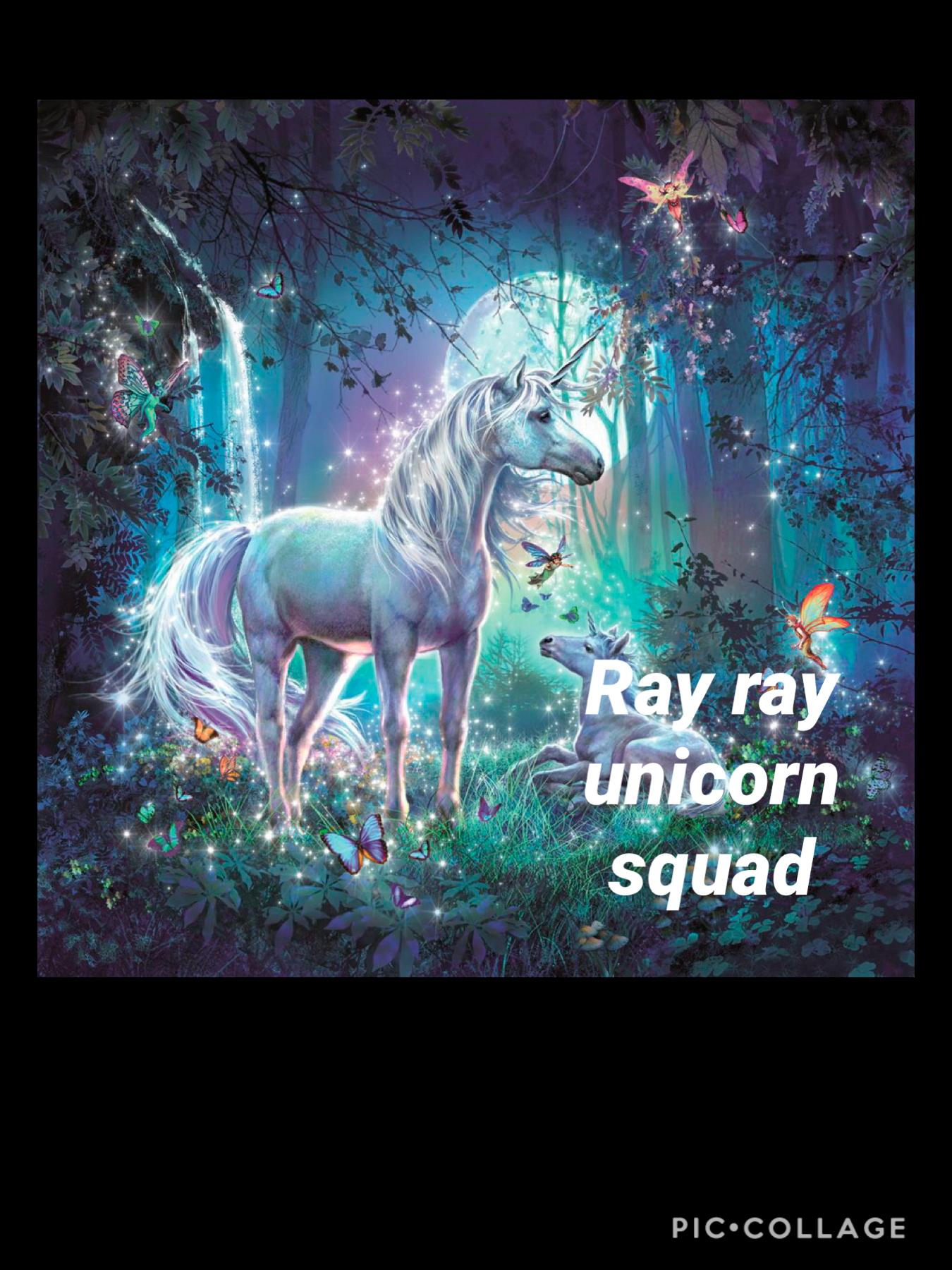 Ray ray unicorn squad 