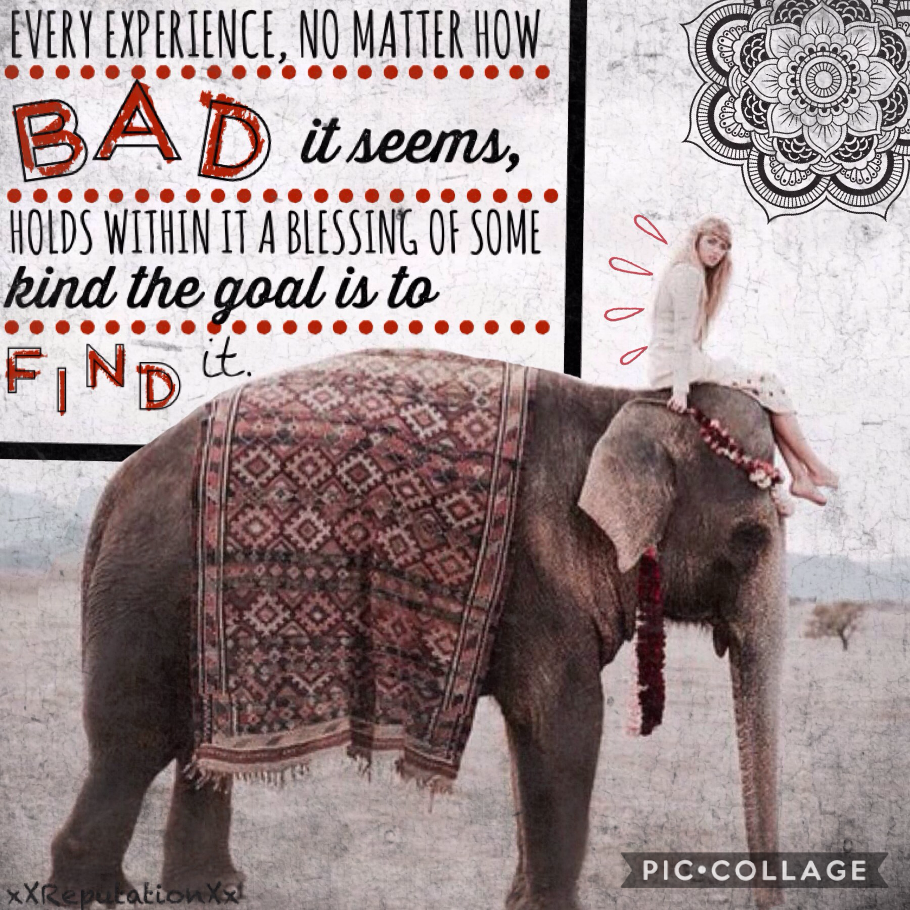 made this for -whiteroses- contest. Tap 💕
QOTD: 🐘 or 🐪
AOTD: 🐘