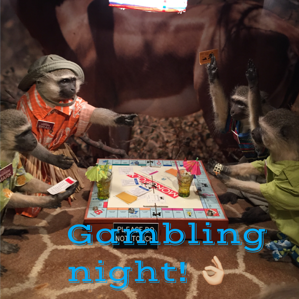 Gambling night! 👌🏼