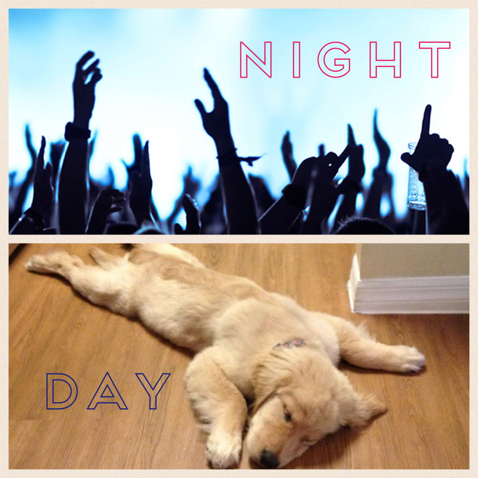 PARTY ALL NIGHT! Sleep all day!