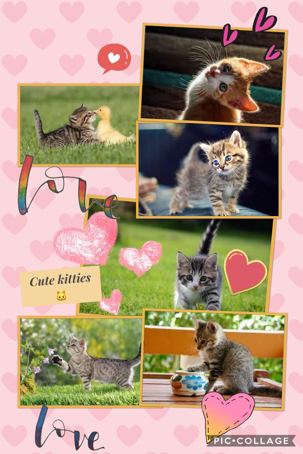 I love kittens!!!