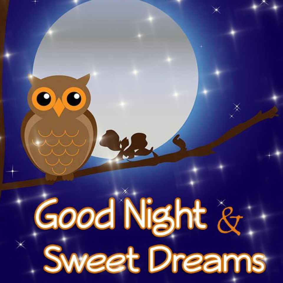 Good night & Sweet Dreams