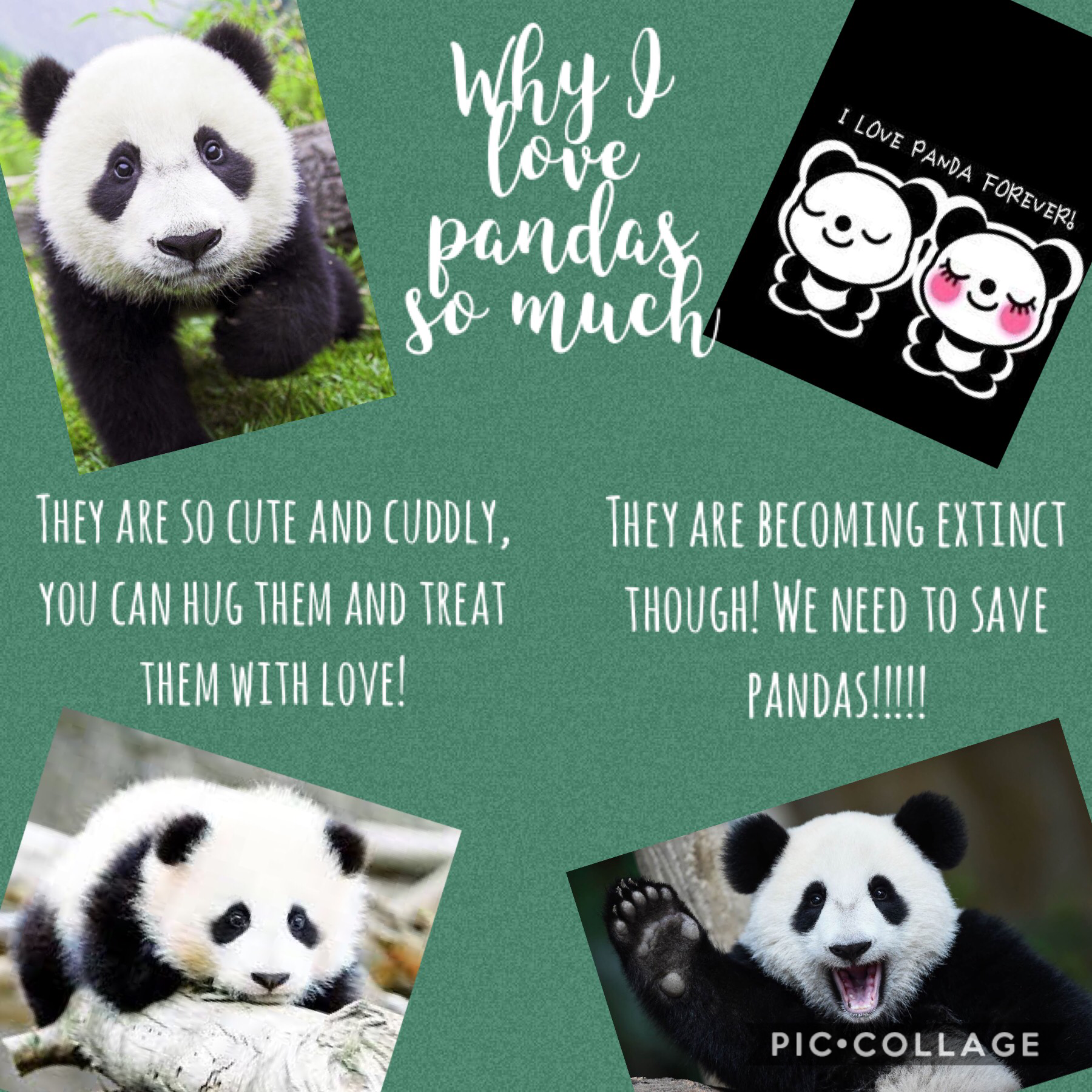 Save pandas!!!
