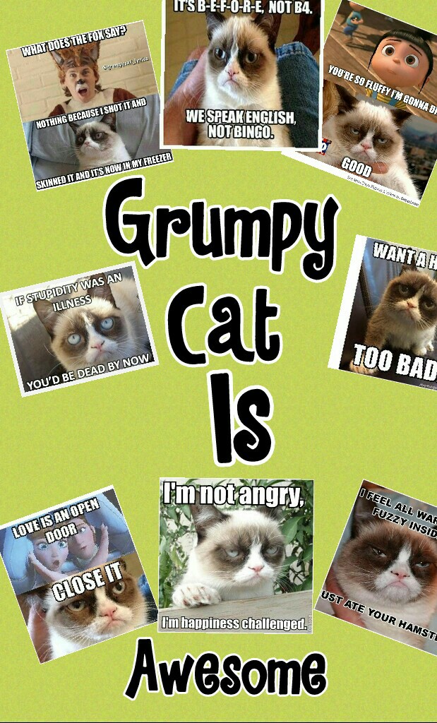 Who doesn't love Grumpy Cat????