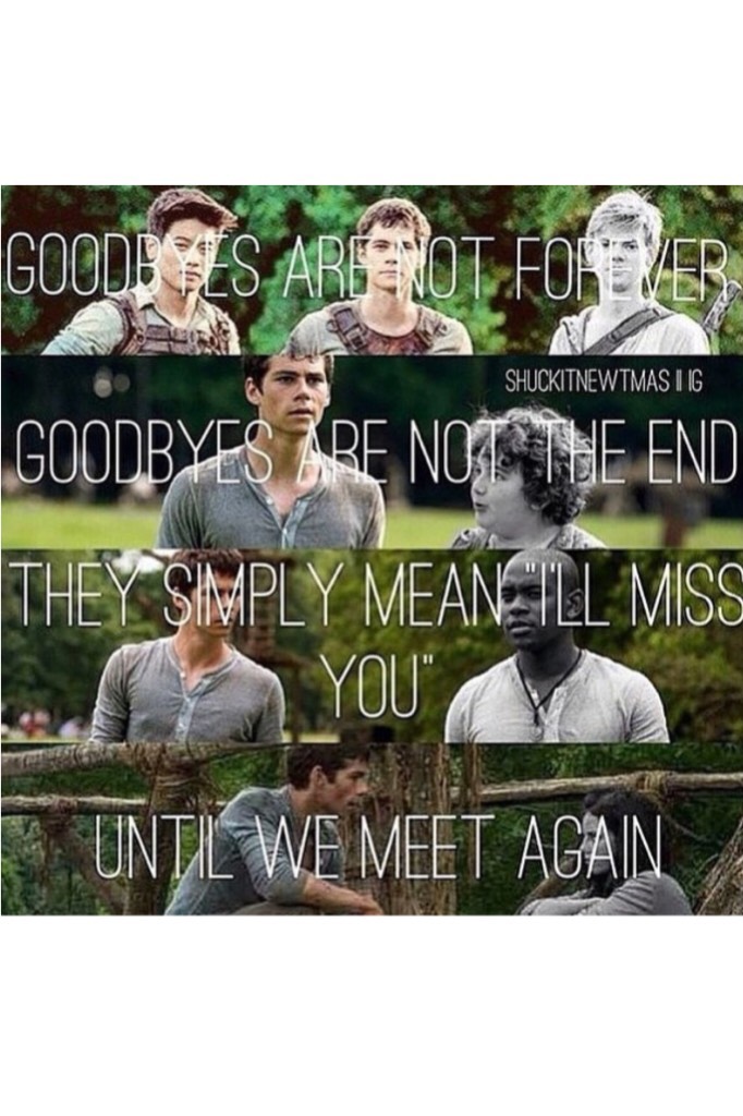 💚click💚
I love this so much! It literally made me ache for days when Newt died 😫 it's just so unfair! He made it so far just to die the way he did! 😭