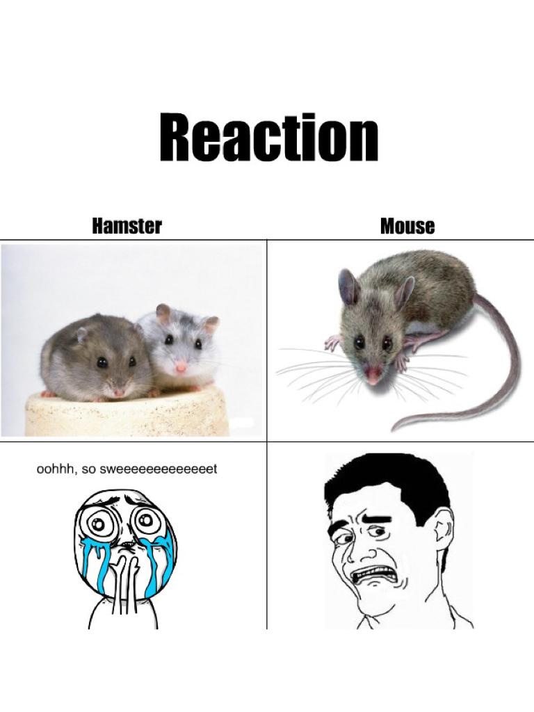 Reaction...