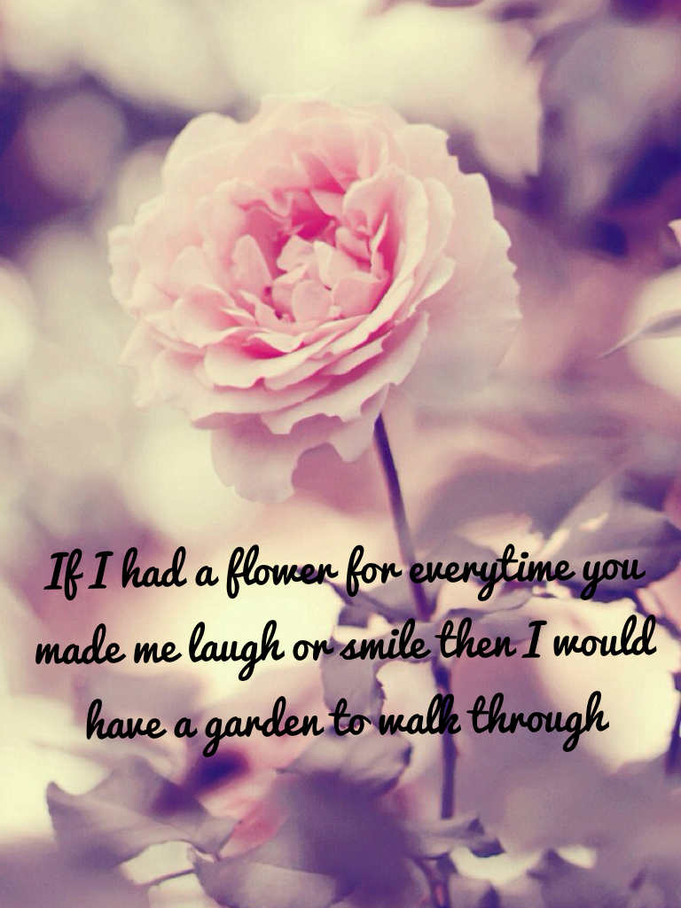If I had a flower for everytime you made me laugh or smile then I would have a garden to walk through 