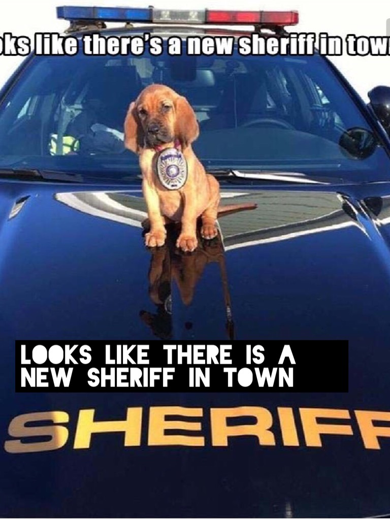 Looks like there is a new sheriff in town 