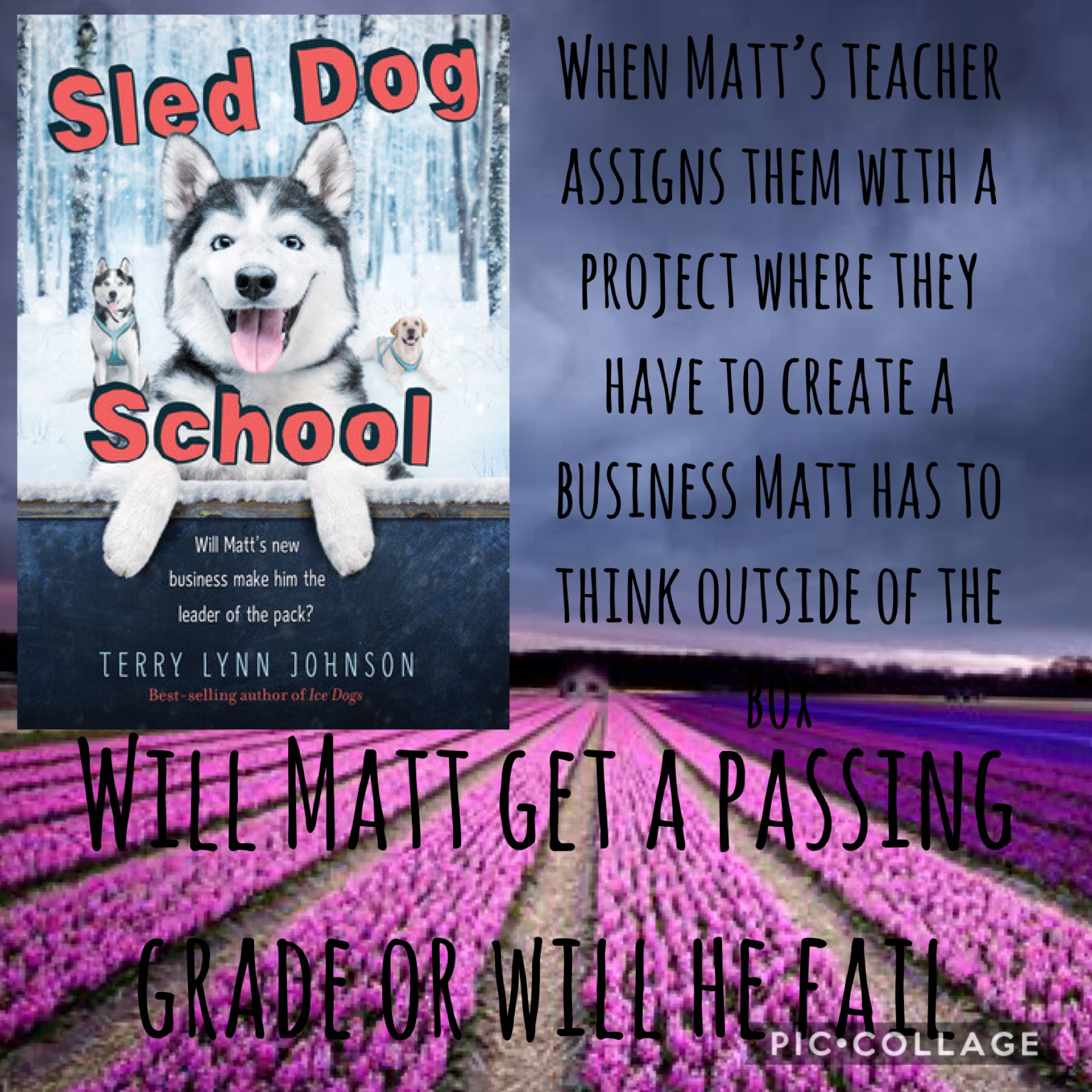 Sled dog school