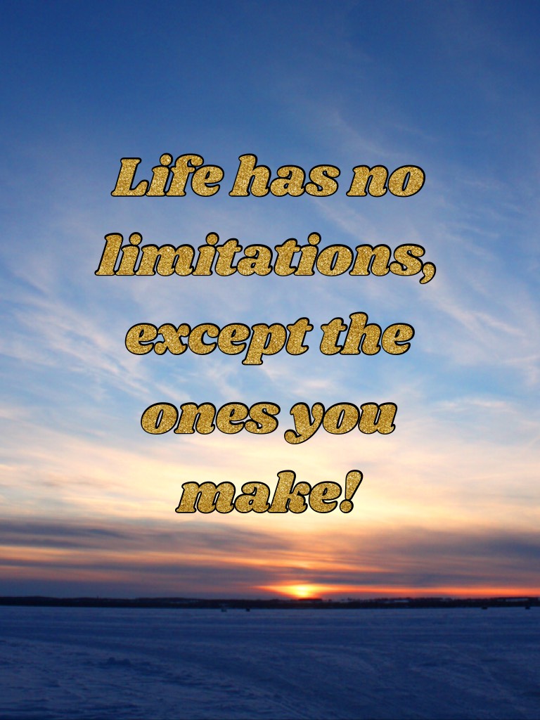 Life has no limitations, except the ones you make!